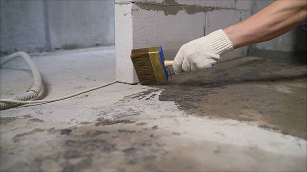 SJ Waterproofing Pros Basement Waterproofing coverage map for Gaines, MI and surrounding area